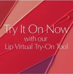 Estée Lauder Pure Color Envy Sculpting Lipstick - 340 Envious -Cosmetica winkel 1193x1200 2