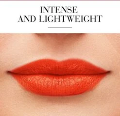 Lippenstift Rouge Fabuleux Bourjois -Cosmetica winkel 1200x1167 18