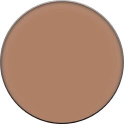 Christian Faye Bruin - Wenkbrauwpoeder -Cosmetica winkel 1200x1200 1911