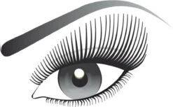 L’Oréal Paris False Lash Telescopic Mascara - Zwart -Cosmetica winkel 1200x741