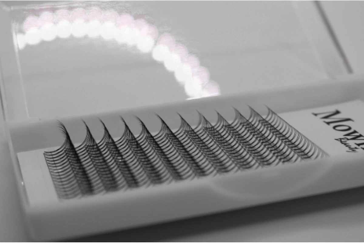 Mowny Beauty - Wimperextensions - 3D Premade Fans - Mix Tray 0,10mm D-krul - Natuurlijke Wimperextensions - Russisch Volume 4 Mowny Beauty - Wimperextensions - 3D Premade Fans - Mix Tray 0,10mm D-krul - Natuurlijke Wimperextensions - Russisch Volume - Afbeelding 4