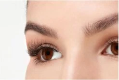 Ardell - Nepwimpers Multipack - Zwart - 5 Sets -Cosmetica winkel 1200x802 1