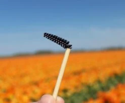 Natural Shaper Brow Soap Met Bamboo Brush – Browsoap - Wenkbrauwgel Met Langdurig Effect – Veilig En Natuurlijk – Brow Shaping - Wenkbrauw Soap -Cosmetica winkel 1200x984 3