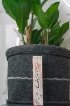 Wimperserum 5ml - Lash Lift - Eyelash - Wimperlifting - LashIQ- Wimper Serum- Wimperserum Groei 9 Wimperserum 5ml - Lash Lift - Eyelash - Wimperlifting - LashIQ- Wimper Serum- Wimperserum Groei -Cosmetica winkel 799x1200