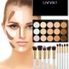 Evvie Contouring Set/ Concealer Palette Met 10-delige Kabuki Kwasten Set